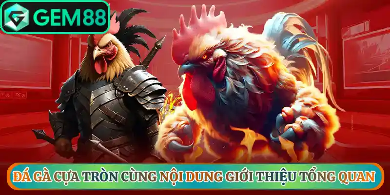 Đá Gà Gem88